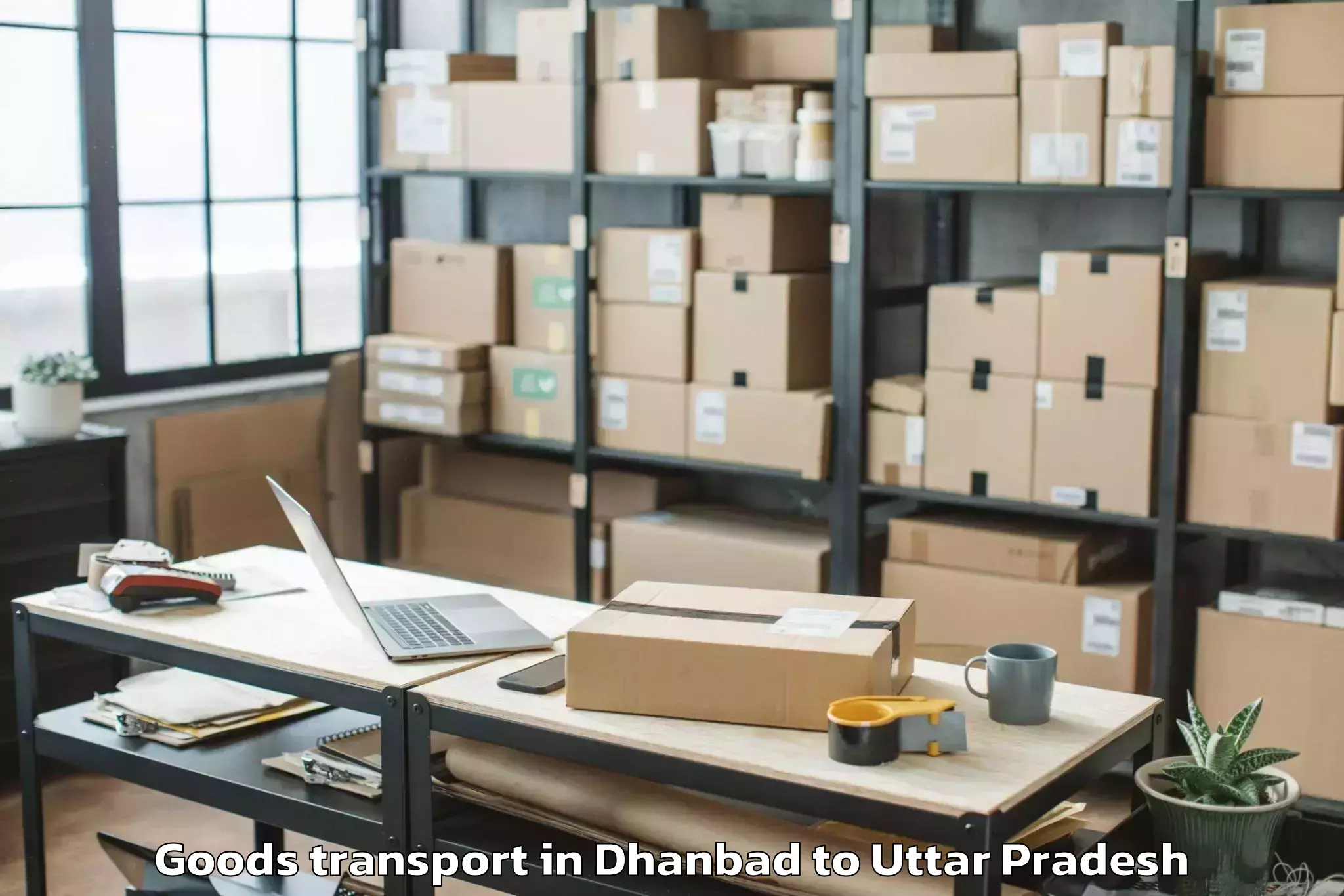 Top Dhanbad to University Of Allahabad Allaha Goods Transport Available